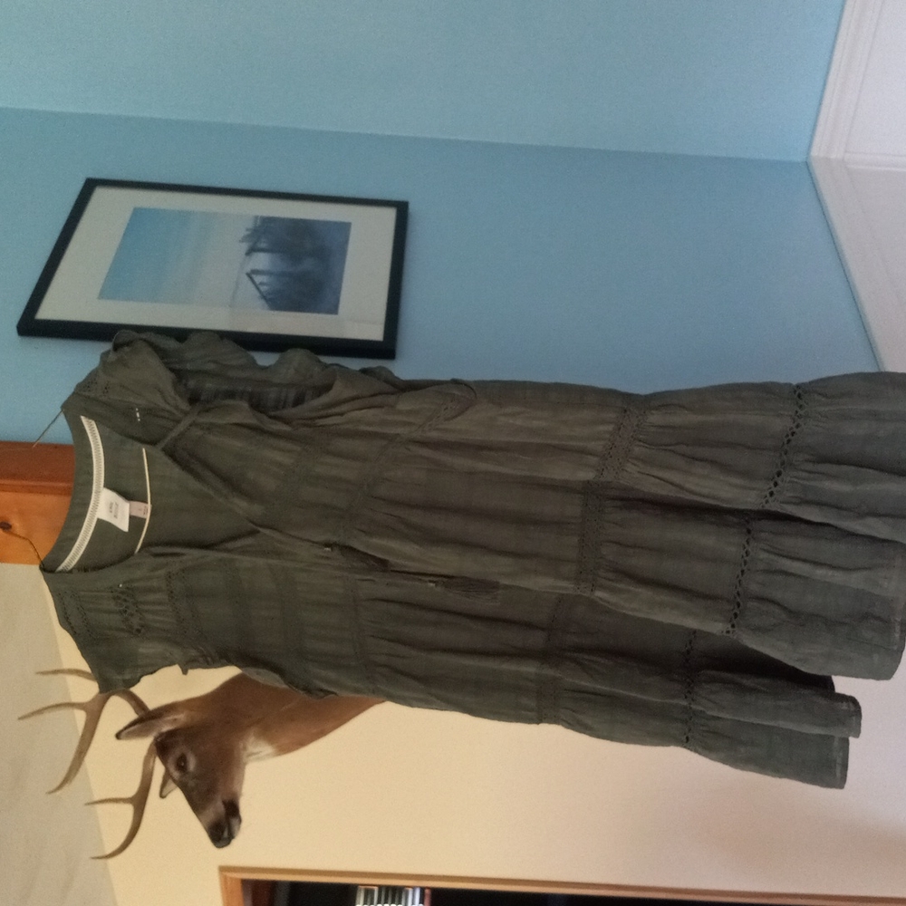 L knox rose green dress